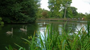 Kew Gardens Sackler crossing 2 